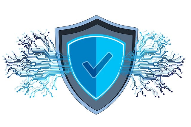 Ontcijferen van antivirussoftware: soorten, belang, werking en installatie